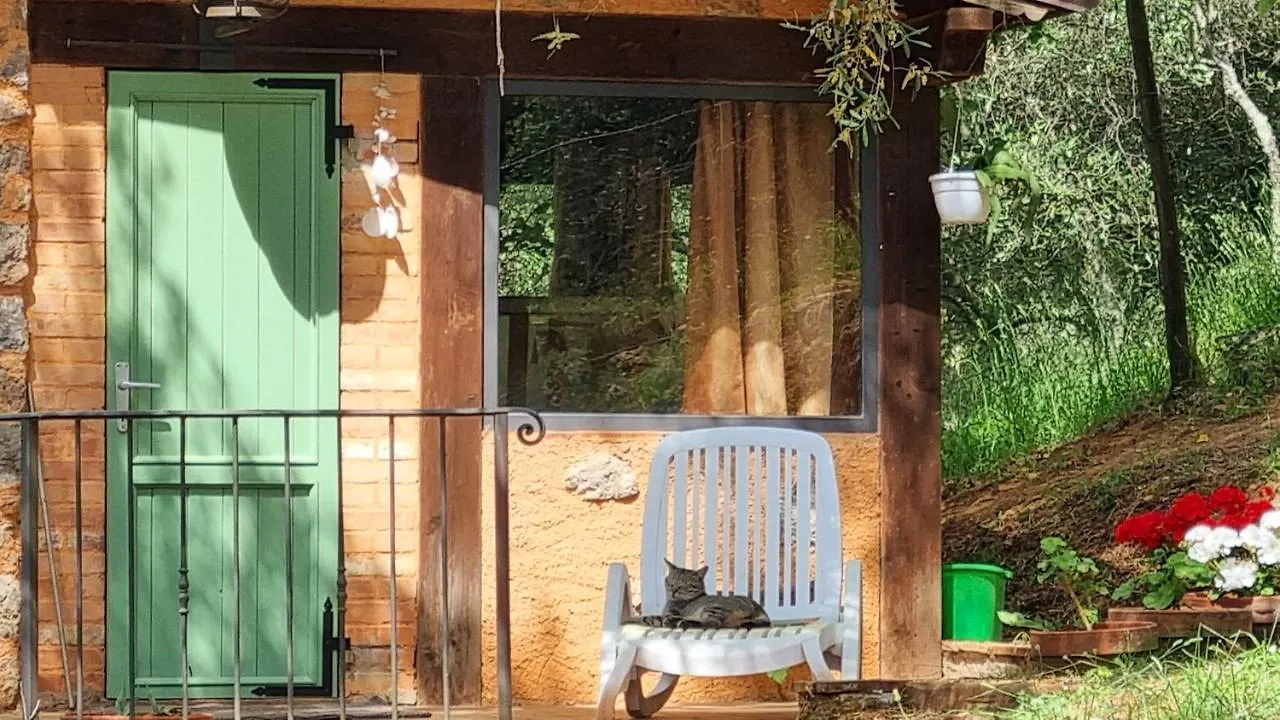 La Merla Casa Vacanze Camaiore Italia