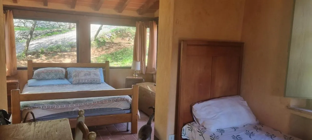 La Merla Casa Vacanze Camaiore